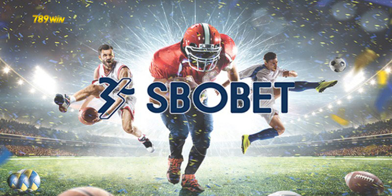 Sbobet - Địa chỉ cung cấp đa dạng hình thức cược chất lượng