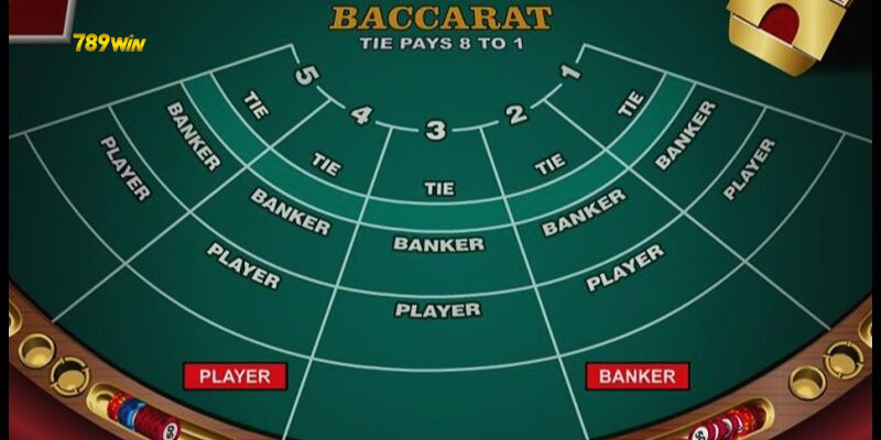 Tìm hiểu vài thuật ngữ hay gặp ở bài baccarat