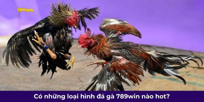 Các hình thức đá gà 789win mà bạn nên khám phá ngay